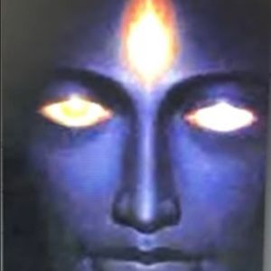 Meet your Posher, Sun